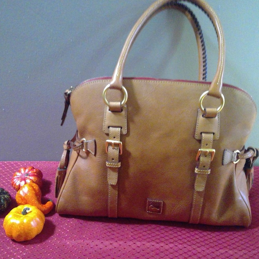 Dooney and Bourke Leather Bag